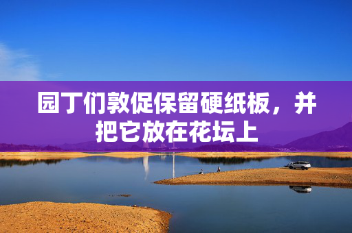 园丁们敦促保留硬纸板，并把它放在花坛上