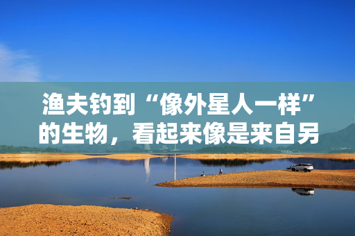 渔夫钓到“像外星人一样”的生物，看起来像是来自另一个星球