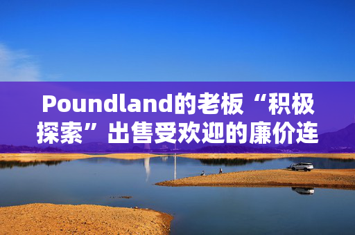 Poundland的老板“积极探索”出售受欢迎的廉价连锁店，并发出警告