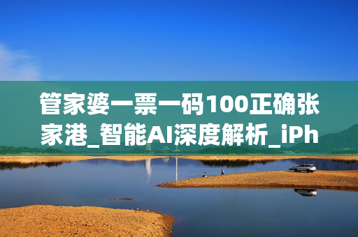管家婆一票一码100正确张家港_智能AI深度解析_iPhone版v11.64.990