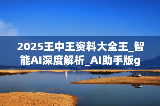 2025王中王资料大全王_智能AI深度解析_AI助手版g12.64.493