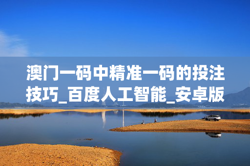 澳门一码中精准一码的投注技巧_百度人工智能_安卓版636.64.149