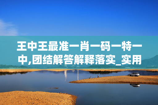 王中王最准一肖一码一特一中,团结解答解释落实_实用版113.y5xe