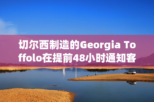 切尔西制造的Georgia Toffolo在提前48小时通知客人后与Brewdog老板结婚