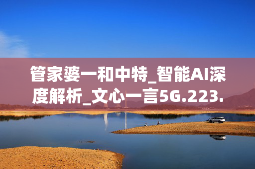 管家婆一和中特_智能AI深度解析_文心一言5G.223.123