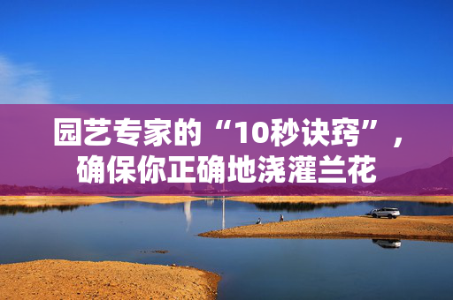 园艺专家的“10秒诀窍”，确保你正确地浇灌兰花