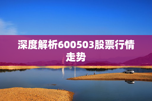 深度解析600503股票行情走势