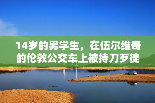 14岁的男学生，在伍尔维奇的伦敦公交车上被持刀歹徒刺死