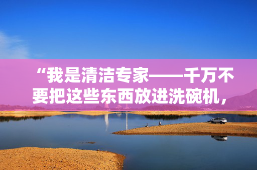 “我是清洁专家——千万不要把这些东西放进洗碗机，否则后果自负。”