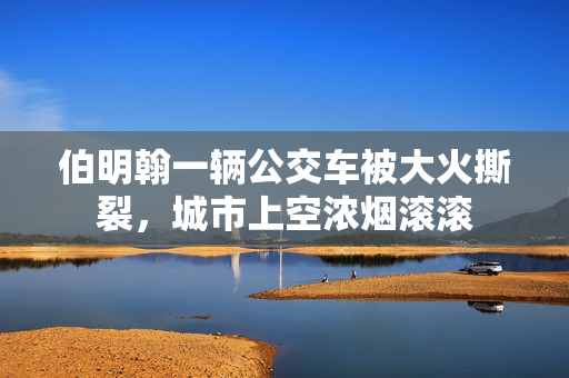 伯明翰一辆公交车被大火撕裂，城市上空浓烟滚滚