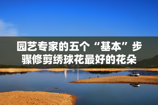 园艺专家的五个“基本”步骤修剪绣球花最好的花朵