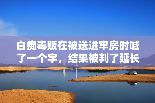 白痴毒贩在被送进牢房时喊了一个字，结果被判了延长刑期