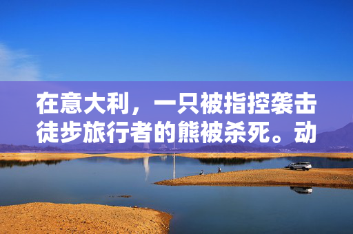 在意大利，一只被指控袭击徒步旅行者的熊被杀死。动物权利保护者担心它的幼崽