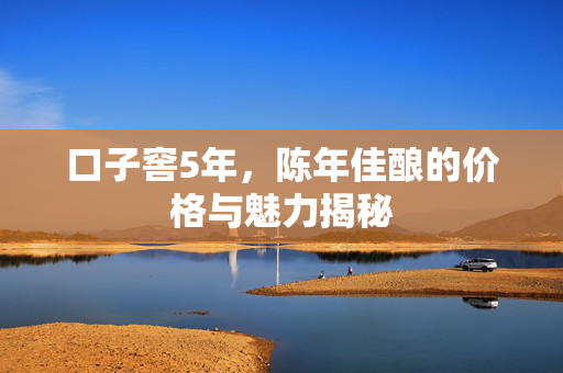 口子窖5年，陈年佳酿的价格与魅力揭秘