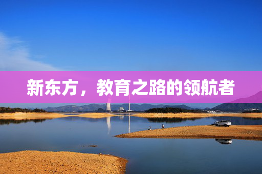 新东方，教育之路的领航者