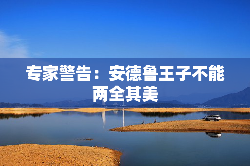 专家警告：安德鲁王子不能两全其美