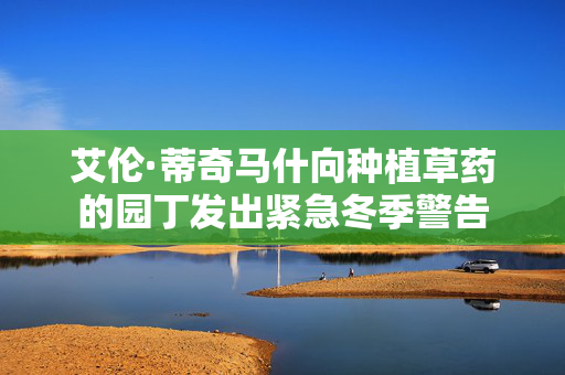 艾伦·蒂奇马什向种植草药的园丁发出紧急冬季警告