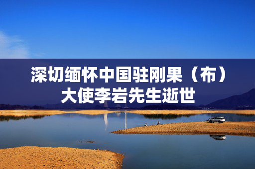深切缅怀中国驻刚果（布）大使李岩先生逝世