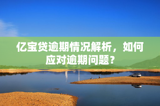 亿宝贷逾期情况解析，如何应对逾期问题？