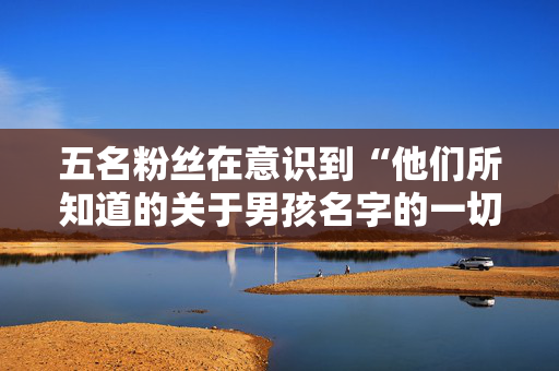 五名粉丝在意识到“他们所知道的关于男孩名字的一切都是谎言”后感到困惑。