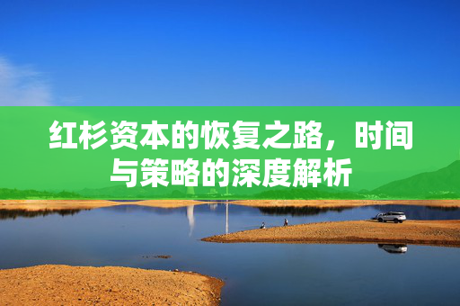 红杉资本的恢复之路，时间与策略的深度解析