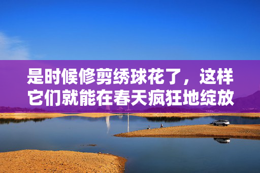 是时候修剪绣球花了，这样它们就能在春天疯狂地绽放