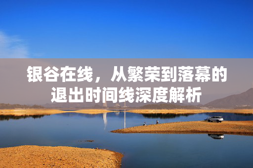 银谷在线，从繁荣到落幕的退出时间线深度解析