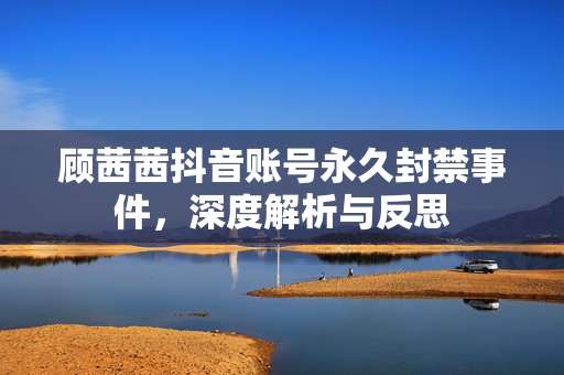 顾茜茜抖音账号永久封禁事件,深度解析与反思 顾茜茜抖音账号永久封禁事件,深度解析与反思