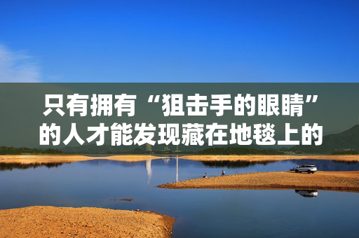 只有拥有“狙击手的眼睛”的人才能发现藏在地毯上的乐高积木
