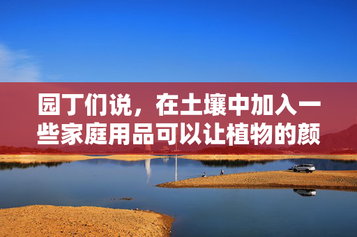 园丁们说，在土壤中加入一些家庭用品可以让植物的颜色“更深”