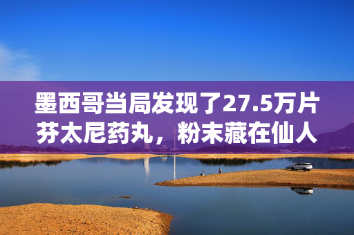 墨西哥当局发现了27.5万片芬太尼药丸，粉末藏在仙人掌片的盒子里