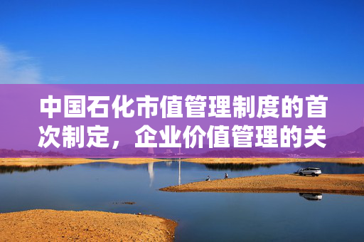 中国石化市值管理制度的首次制定，企业价值管理的关键一步