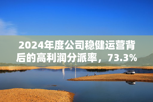 2024年度公司稳健运营背后的高利润分派率，73.3%的业绩解析