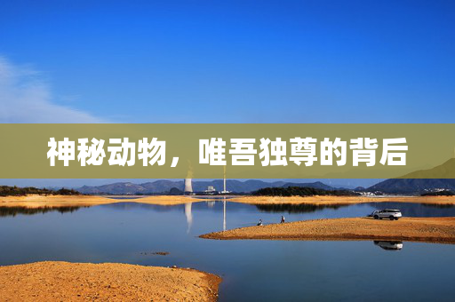 神秘动物，唯吾独尊的背后