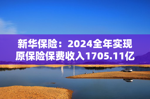 新华保险：2024全年实现原保险保费收入1705.11亿元 同比增长2.8%