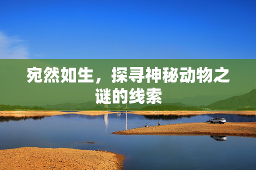 宛然如生，探寻神秘动物之谜的线索