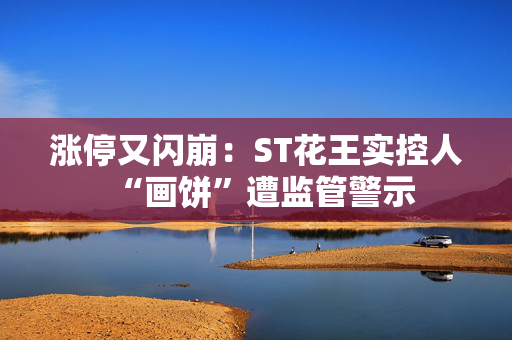 涨停又闪崩：ST花王实控人“画饼”遭监管警示