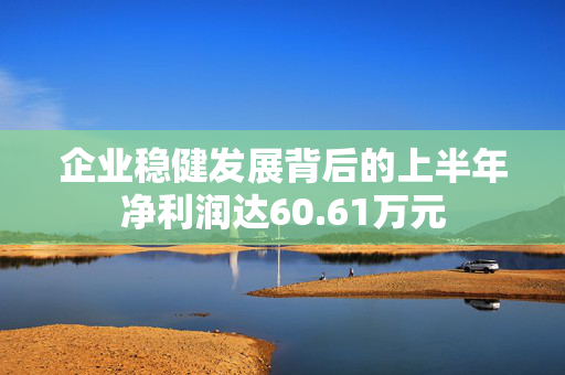 企业稳健发展背后的上半年净利润达60.61万元