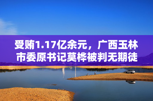 受贿1.17亿余元，广西玉林市委原书记莫桦被判无期徒刑