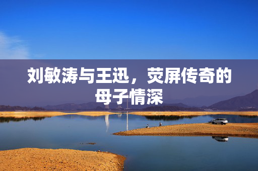 刘敏涛与王迅，荧屏传奇的母子情深