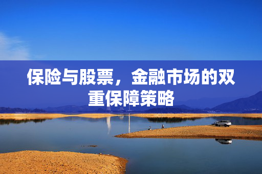保险与股票，金融市场的双重保障策略