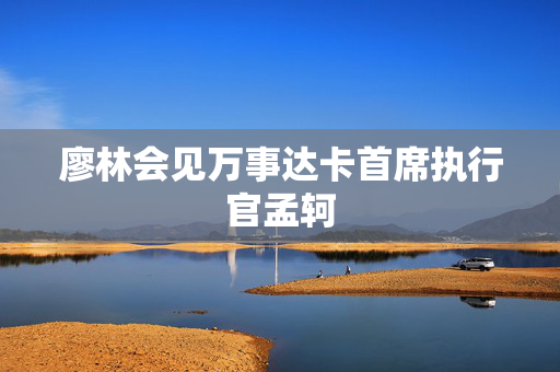 廖林会见万事达卡首席执行官孟轲
