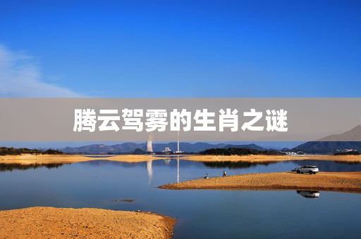 腾云驾雾的生肖之谜
