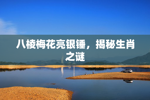 八棱梅花亮银锤，揭秘生肖之谜