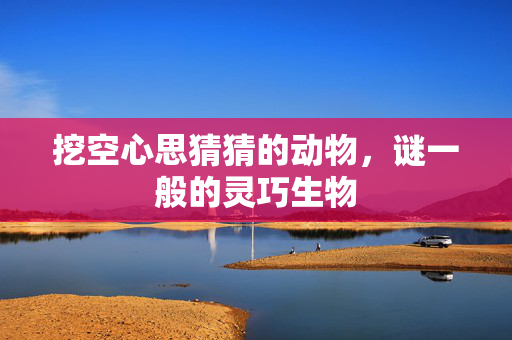 挖空心思猜猜的动物，谜一般的灵巧生物