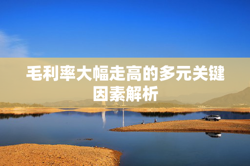 毛利率大幅走高的多元关键因素解析