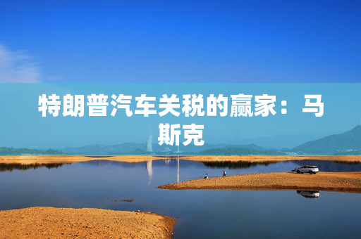 特朗普汽车关税的赢家：马斯克