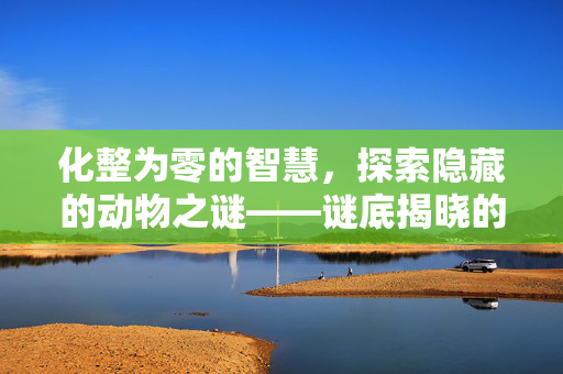 化整为零的智慧，探索隐藏的动物之谜——谜底揭晓的动物之趣