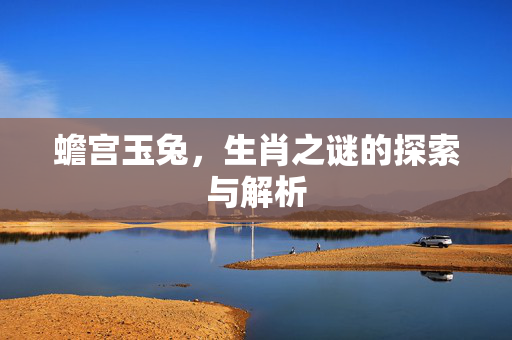 蟾宫玉兔，生肖之谜的探索与解析