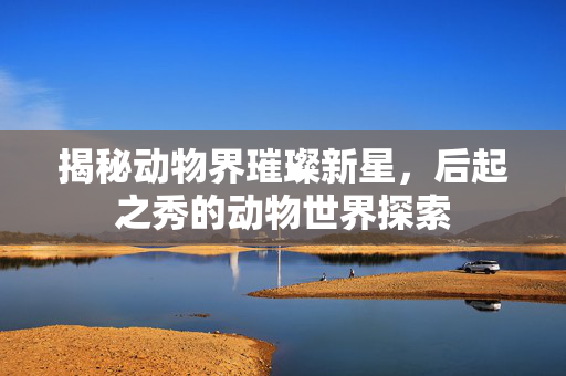 揭秘动物界璀璨新星，后起之秀的动物世界探索